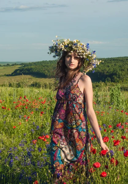 Çiçek çelenk kızla. Bir çelenk yaz çiçek niteliğine güzel Ukraynalı kız portresi. Haşhaş alanla gurl.