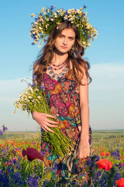 Çiçek çelenk kızla. Bir çelenk yaz çiçek niteliğine güzel Ukraynalı kız portresi. Haşhaş alanla gurl.