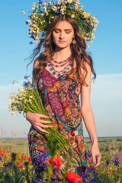 Çiçek çelenk kızla. Bir çelenk yaz çiçek niteliğine güzel Ukraynalı kız portresi. Haşhaş alanla gurl.