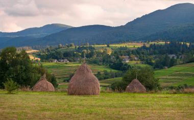 Alan haystacks güneşli gün ile. Kırsal manzara; Hey Ukrayna dağlarda sahasının rulo. 