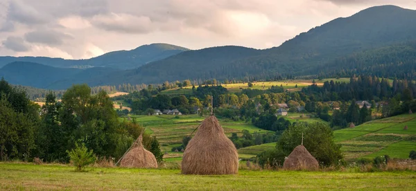 Alan haystacks güneşli gün ile. Kırsal manzara; Hey Ukrayna dağlarda sahasının rulo. 