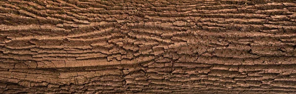 Meşe kabuğu kabartma dokusu. 