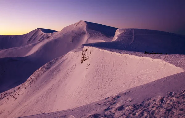 Kışın harika mor gündoğumu Karpatlar içinde. Gündoğumu kırmızı ışınlarının kış dağların zirveleri karla kaplı.