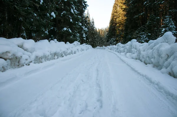 Ormanda kış yolu. 