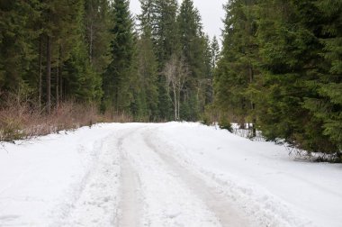 Ormanda izler olan kış yolu.. 