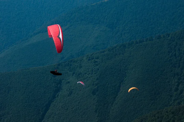 Три парапланериста летят над горной долиной в солнечный летний день . — стоковое фото
