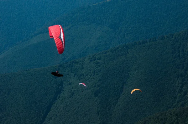 Trois parapentistes survolent une vallée de montagne par une journée d'été ensoleillée . — Photo