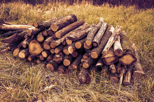 Freshly cut tree logs piled up on the green grass. Logs felled into one pile.
