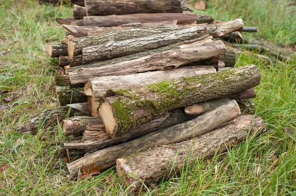 Freshly cut tree logs piled up on the green grass. Logs felled into one pile.