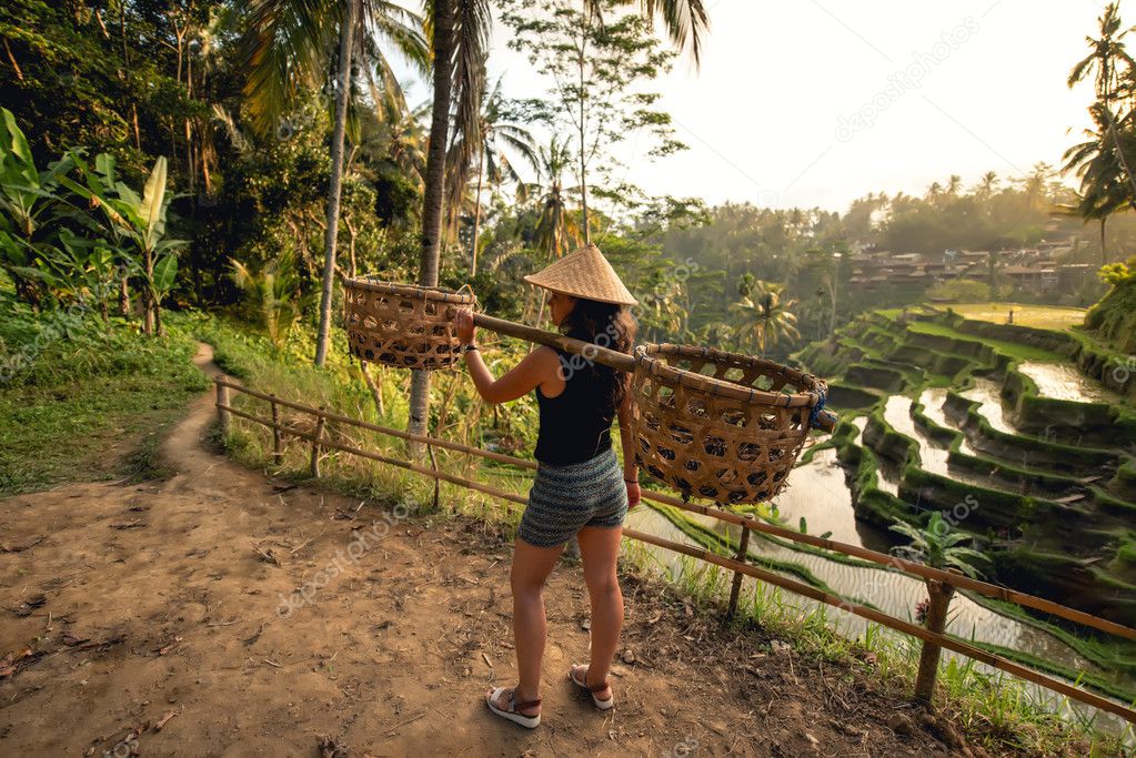 Young worker on rice field carrying around. Agricultural details on rice terraces 