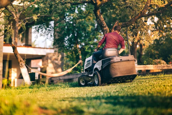 Trabajador masculino que utiliza cortacésped profesional para recortar la hierba del patio trasero. Trabajos de paisajismo en curso —  Fotos de Stock