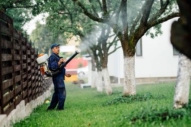 Püskürtme zehirli böcek ilacı ve ierbicides meyve meyve bahçesi içinde adam
