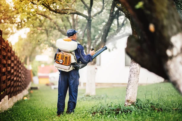 Agricultor pulverizando pesticida e ierbicida no jardim — Fotografia de Stock