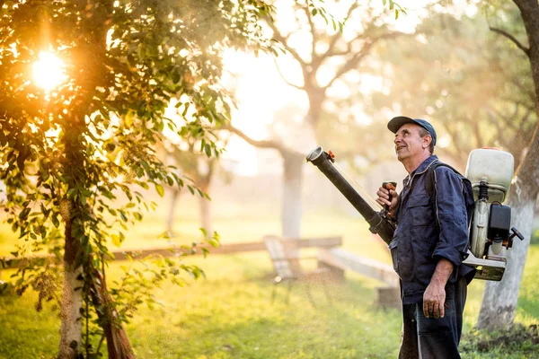 Сельскохозяйственные промышленные детали с фермером с помощью опрыскивателя для контроля пестицидов в фруктовом саду во время захода солнца — стоковое фото