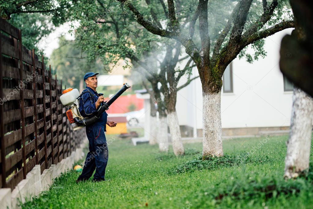 Man spraying toxic pesticides and ierbicides in fruit orchard