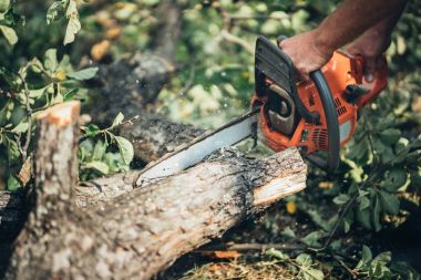 Eylem kesme yangın ahşap testere. Adam kesme ahşap iş chainsaw ile