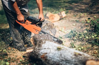 Oduncu kesme ağaç benzinli testere ile bahçede portresi. parçalanmak farklı yönlere