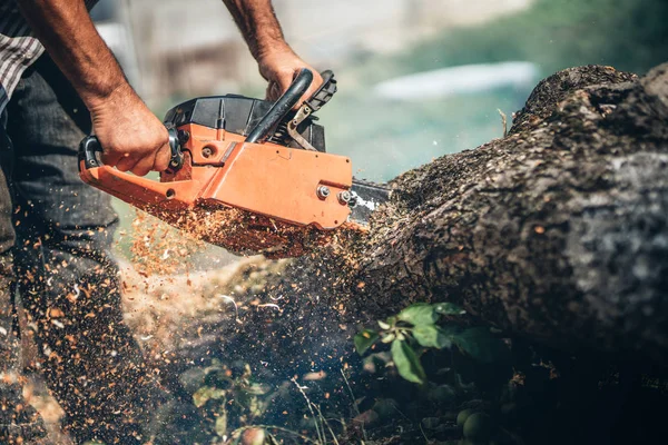 Mężczyzna drwal cięcie drzewa przy użyciu profesjonalnego sprzętu, chainsaw zasilany benzyna — Zdjęcie stockowe