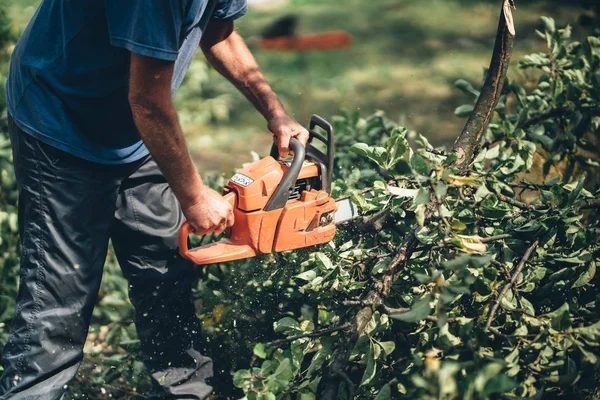 Trabajador de leña cortando leña en el bosque con una cadena profesional — Foto de Stock