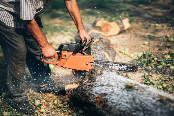 Adult man cutting trees with chainsaw and tools — Stock Photo, Image