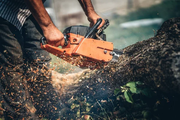 Retrato de cerca del leñador cortando árboles en el jardín con motosierra de gasolina. astillas en diferentes direcciones — Foto de Stock