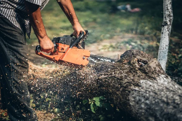 Дровосек-самец, резающий дрова с помощью профессиональной бензопилы — стоковое фото