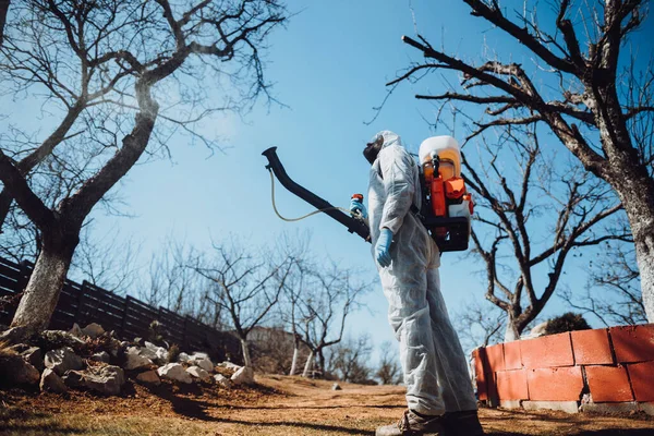 Hombre Trabajando Rociando Pesticidas Árboles Orchar Frutal — Foto de Stock