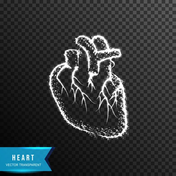 Heart human from connecting dot and line. light effect. vector i — 图库矢量图片