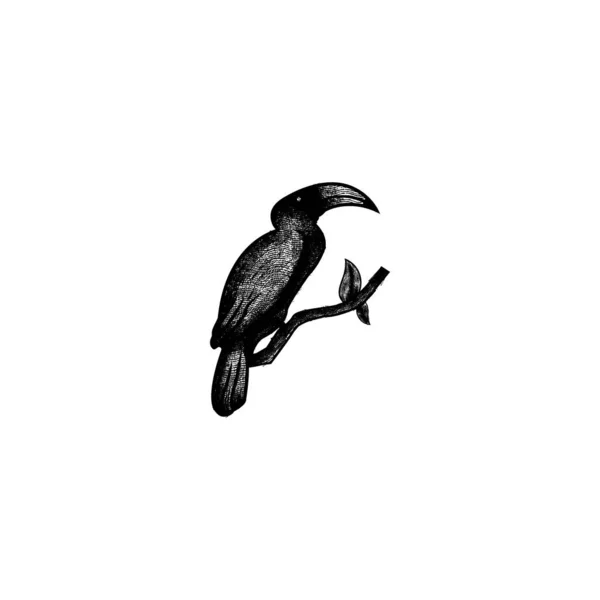 Loro. Ideas del logotipo del pájaro guacamayo. Diseño del logotipo de inspiración. Plantilla — Vector de stock
