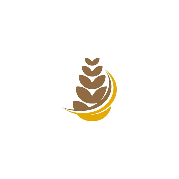 Agriculture Wheat Icon Logo Ide Desain Logo Inspirasi Templat Vector - Stok Vektor