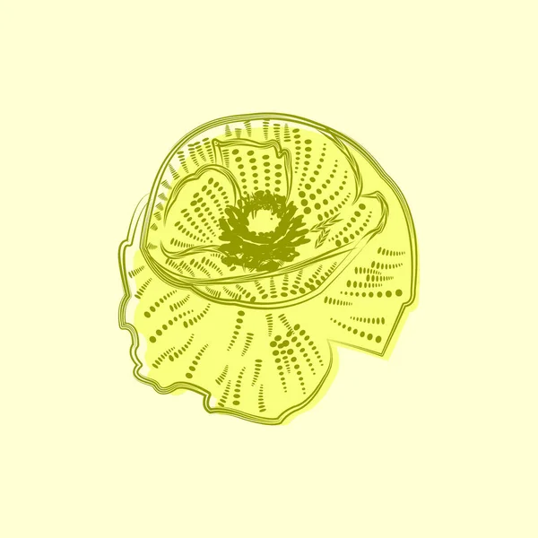 Vector De Logo De Flor De Lirioストックベクター ロイヤリティフリーvector De Logo De Flor De Lirioイラスト ページ 8 Depositphotos Vector De Logo De Flor De Lirioストックベクター ロイヤリティフリーvector De Logo De Flor De Lirioイラスト ページ 8 Depositphotos