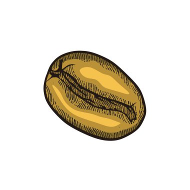 El yapımı kahve çekirdeği logosu. vektör illüstrasyonu