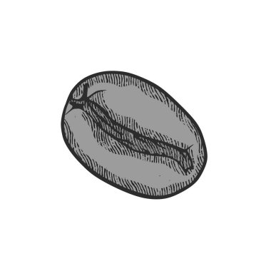 El yapımı kahve çekirdeği logosu. İşleme dokusu. vektör illüstrasyonu