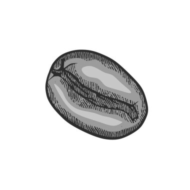 El yapımı kahve çekirdeği logosu. İşleme dokusu. vektör illüstrasyonu