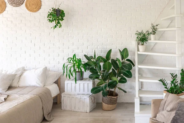 Luxury bedroom design in a rustic cottage in a minimalist style. white walls, panoramic windows, wooden elements of decoration on the ceiling, rope swings in the middle of a spacious room.