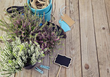 Taze heather ve Bahçe araçları. Ekime hazırlanması.