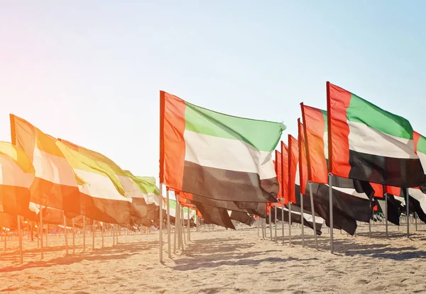 Groot aantal vlaggen van de Verenigde Arabische Emiraten — Stockfoto