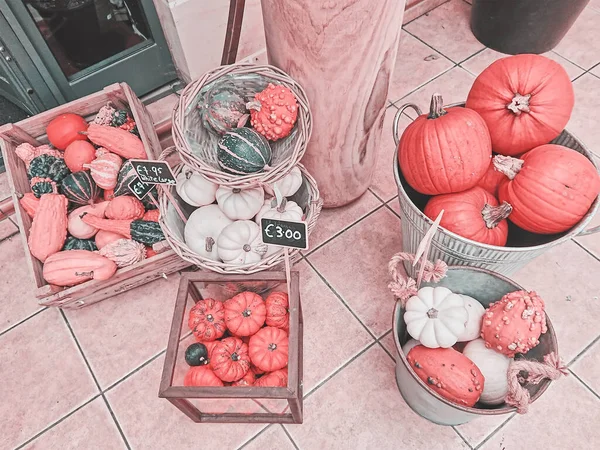 Variety of pumpkins in baskets and boxes for sale