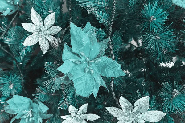 밝은 크리스마스 배경에 장식 꽃 Xmas 스타 — 스톡 사진