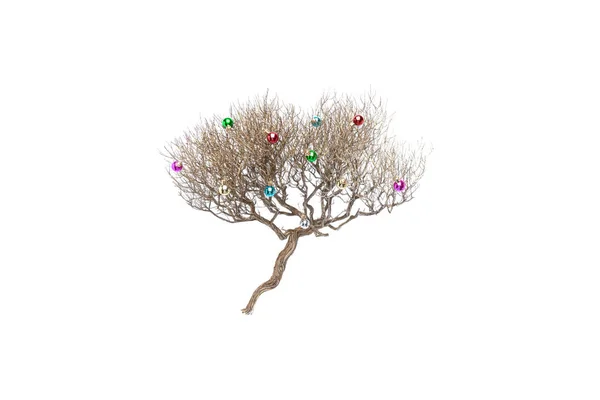 Dry branch of natural bush is decorated with small colored Christmas balls — Stock Photo, Image