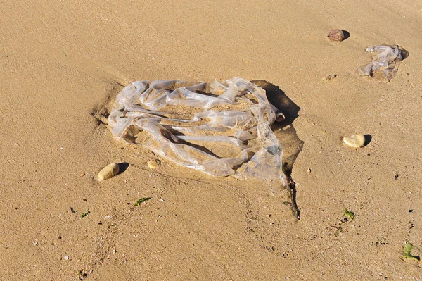 在沙滩上随波逐流丢弃的塑料袋 — 图库照片