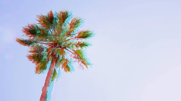 青い空の背景に1本のヤシの木 下のビュー スペースをコピーします パームサンデーのコンセプト — ストック写真