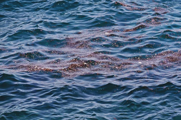 Ansammlung Von Schwimmenden Trümmern Meerwasser Nach Einem Sturm Verschmutzung Der — Stockfoto