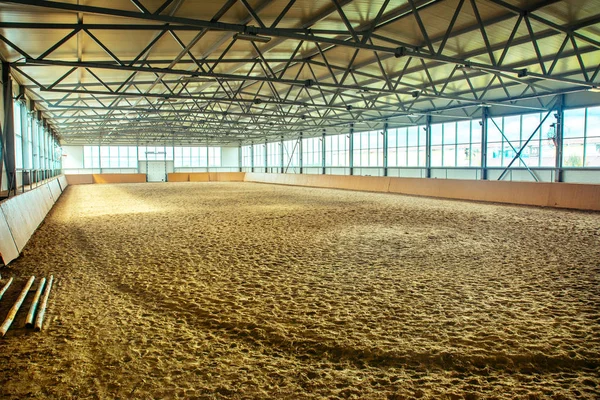 Caballo de arena deporte ecuestre —  Fotos de Stock