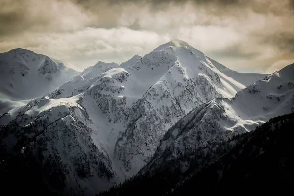 Mountain peaks white snow sochi in winter — Stock Photo, Image