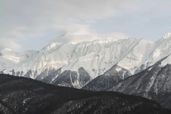 Dağ doruklarına beyaz sochi kışın kar.