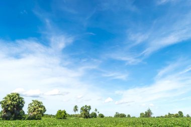 Mavi gökyüzü ve ağaç bulut. manzara arka plan.