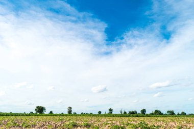 Mavi gökyüzü ve ağaç bulut. manzara arka plan.