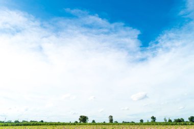 Mavi gökyüzü ve ağaç bulut. manzara arka plan.