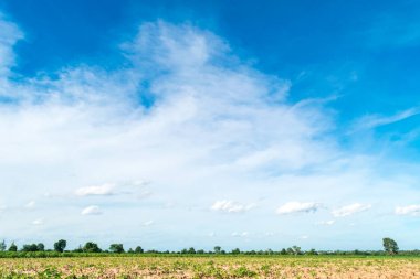Mavi gökyüzü ve ağaç bulut. manzara arka plan.